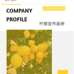 创意柠檬餐饮美食企业品牌宣传画册