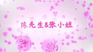 紫红玫瑰婚礼视频模版