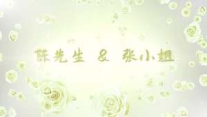 浅绿玫瑰婚礼视频模版