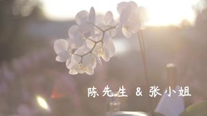夏日清新婚礼视频模版