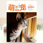 精品杂志册-萌宠版（家有萌宠）可爱宠物生活记录相册