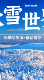 冰雪哈尔滨旅游海报广告banner