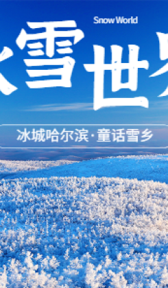 冰雪哈尔滨旅游海报广告banner