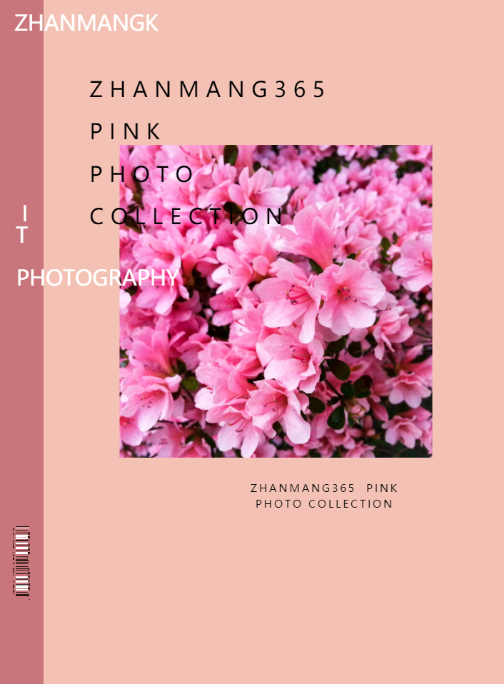 清新风粉色个性摄影电子相册
