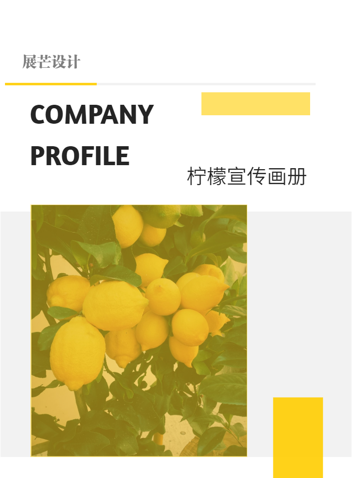 创意柠檬餐饮美食企业品牌宣传画册