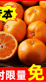 拼多多食品水果橙子直通车主图