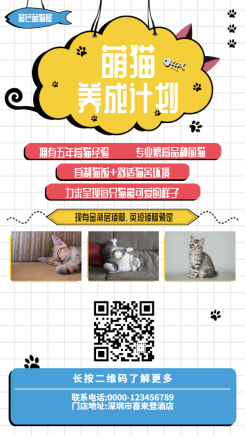 萌猫宠物推广手机海报