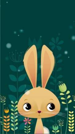 兔子生日海报