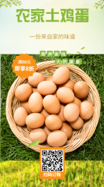 简约清新土鸡蛋促销引流海报