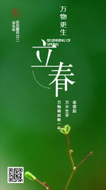 绿色简约立春寒节企业宣传海报