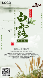 绿色中国风白露节气二十四节气海报