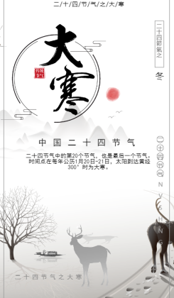 中国风灰白大寒二十四节气贺卡海报