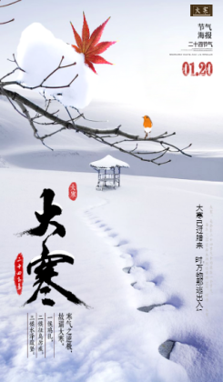 传统节日二十四节气大寒企业宣传海报