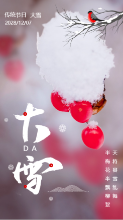中国风二十四节气大雪雪景手机海报