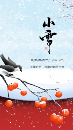 简约文艺小雪节气日签手机海报