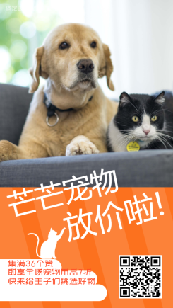 宠物行业做活动促销引流海报