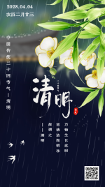 中国风传统文化清明节气日签手机海报