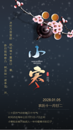 中国风大气二十四节气小寒宣传海报
