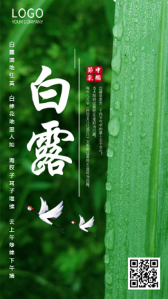 绿色清新白露节气企业宣传海报
