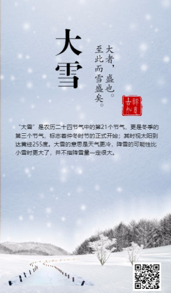 大雪二十四节海报创意传统节日节气