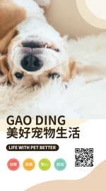 宠物生活方式家居品牌介绍宣传册海报