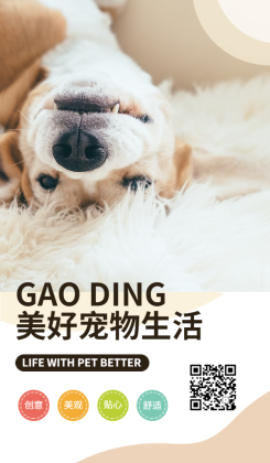 宠物生活方式家居品牌介绍宣传册海报