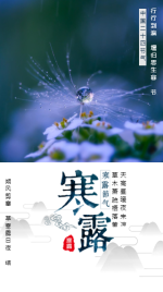 中国风寒露二十四节气海报