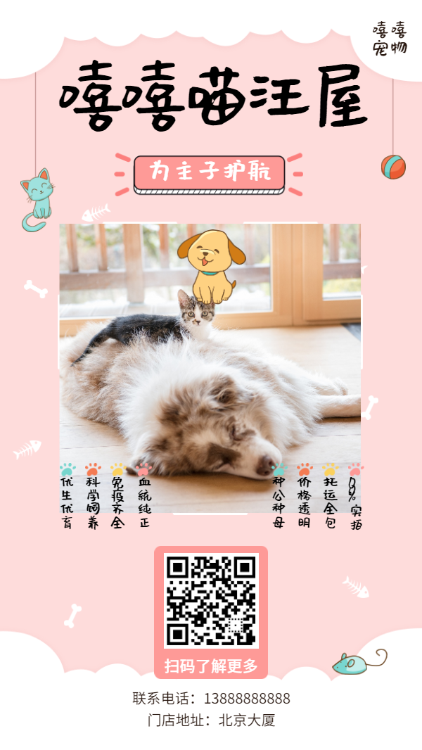 宠物/可爱/项目介绍/手机海报