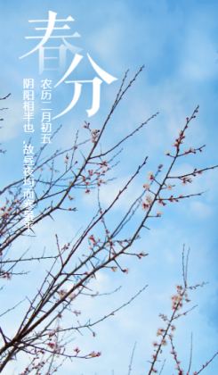 简约清新传统节日春分海报