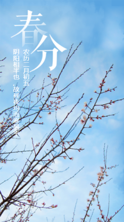简约清新传统节日春分海报